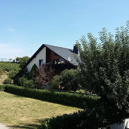 Weingut Willi Fett Maison d'hôtes 3*